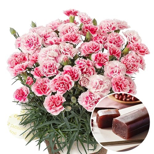 �~���L�[���b�v�{ �ЂƂ����r㻃Z�b�g
