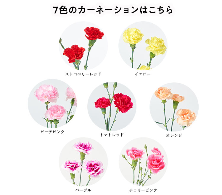 �X���C�_�[�摜4