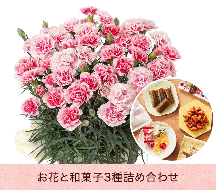 スライダー画像1