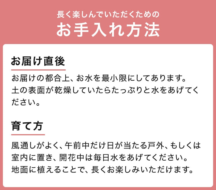 �X���C�_�[�摜5