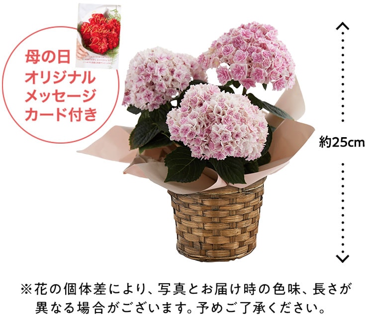 スライダー画像4