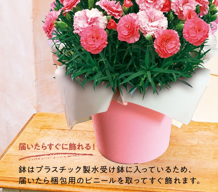 �X���C�_�[�摜3