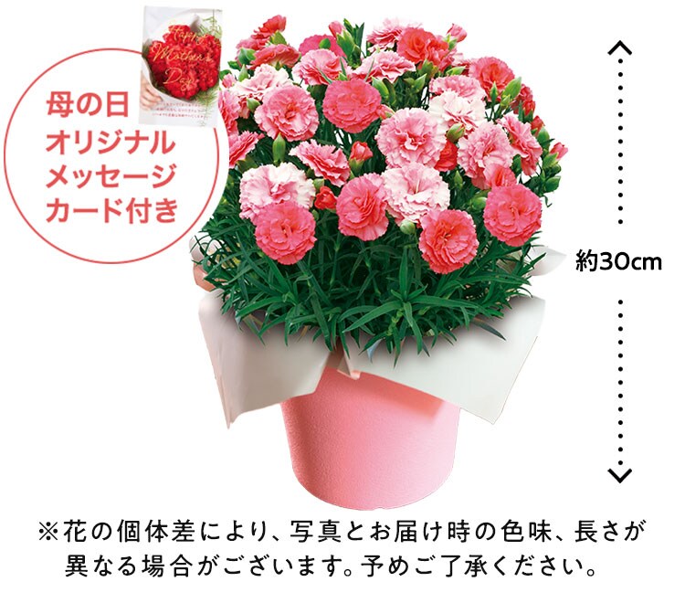 �X���C�_�[�摜4