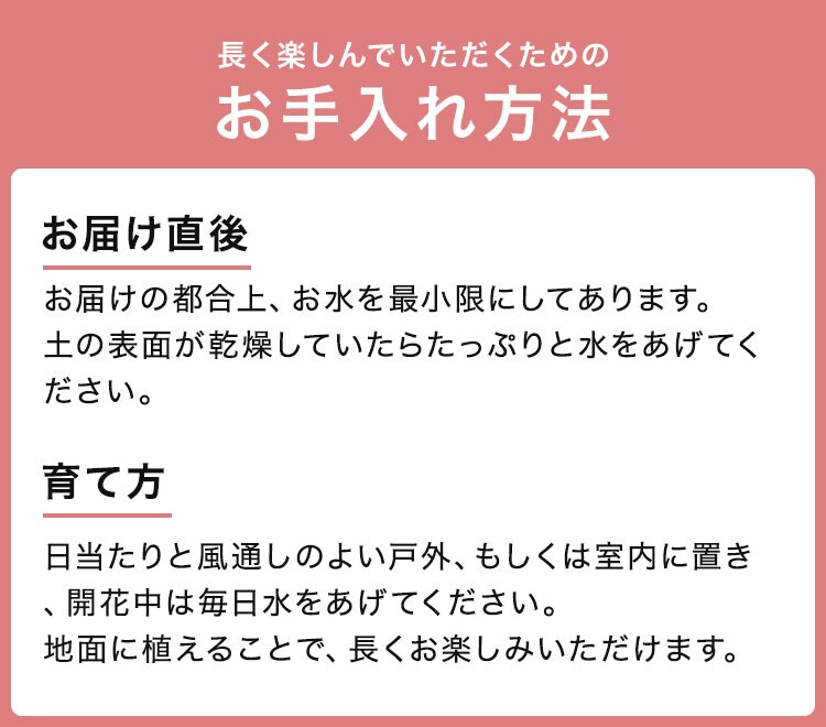 �X���C�_�[�摜5