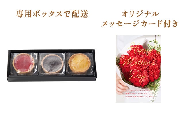 3種のチーズタルト(柚子、チョコ、やまもも) お届けイメージ