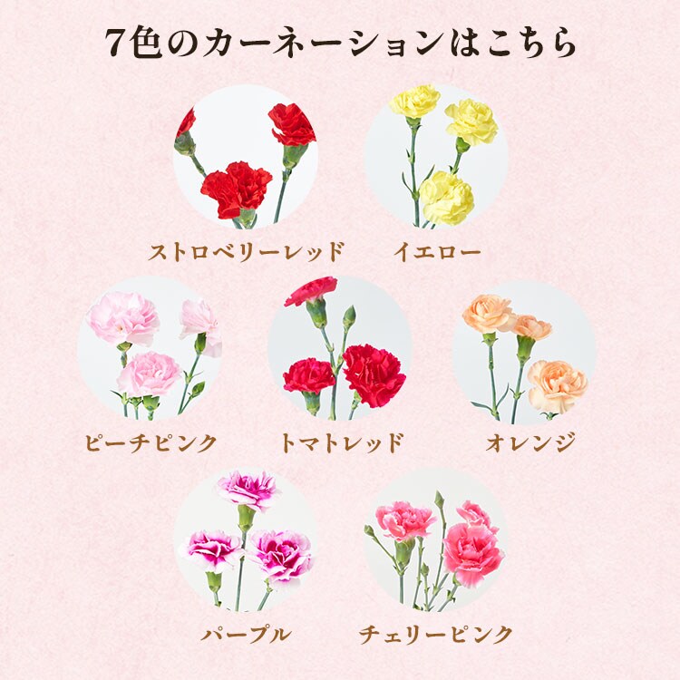 スライダー画像6