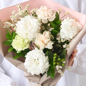 �����u�[�P�v���~�A�� �g���R�j�[&�J�[�l�[�V����
