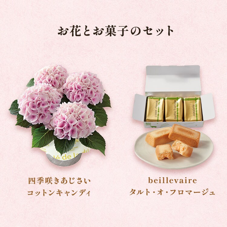 �X���C�_�[�摜2
