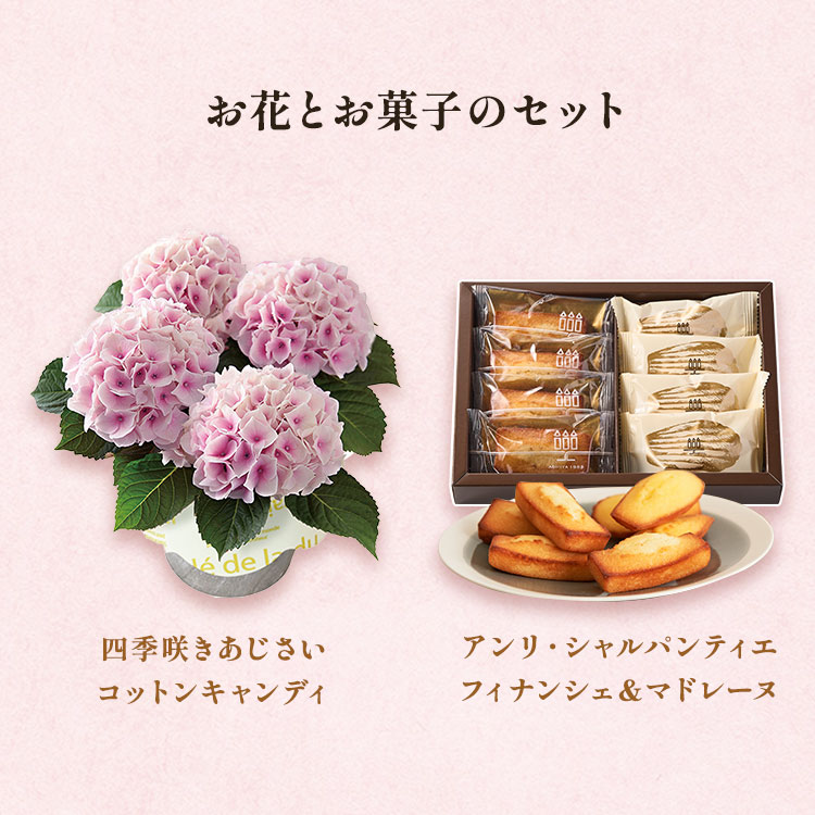 �X���C�_�[�摜2