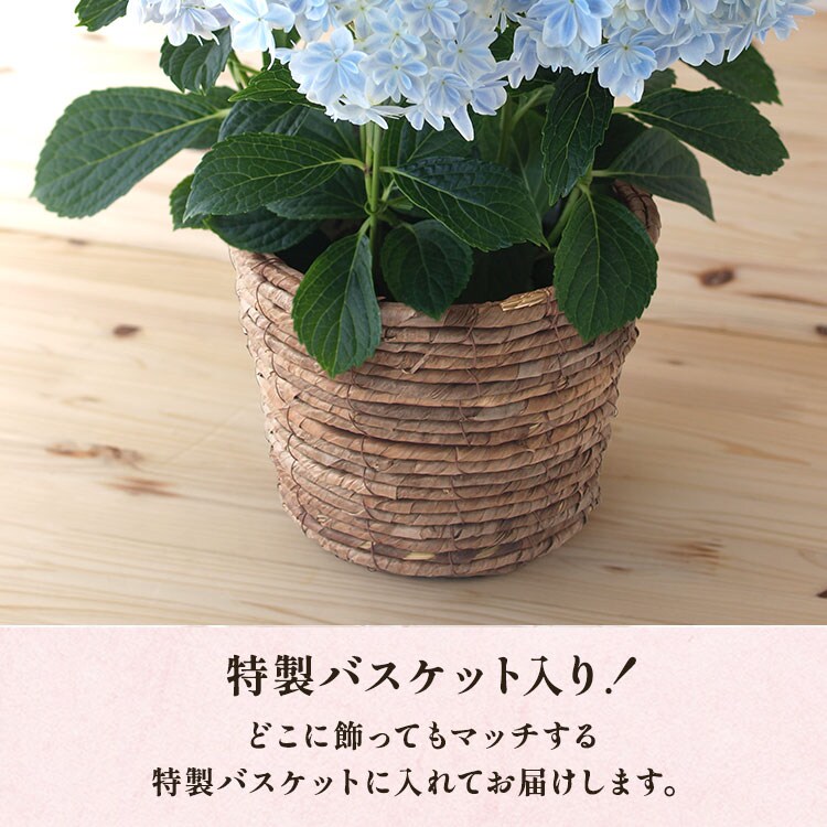 スライダー画像3