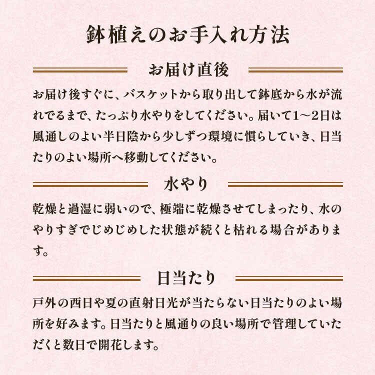 スライダー画像6