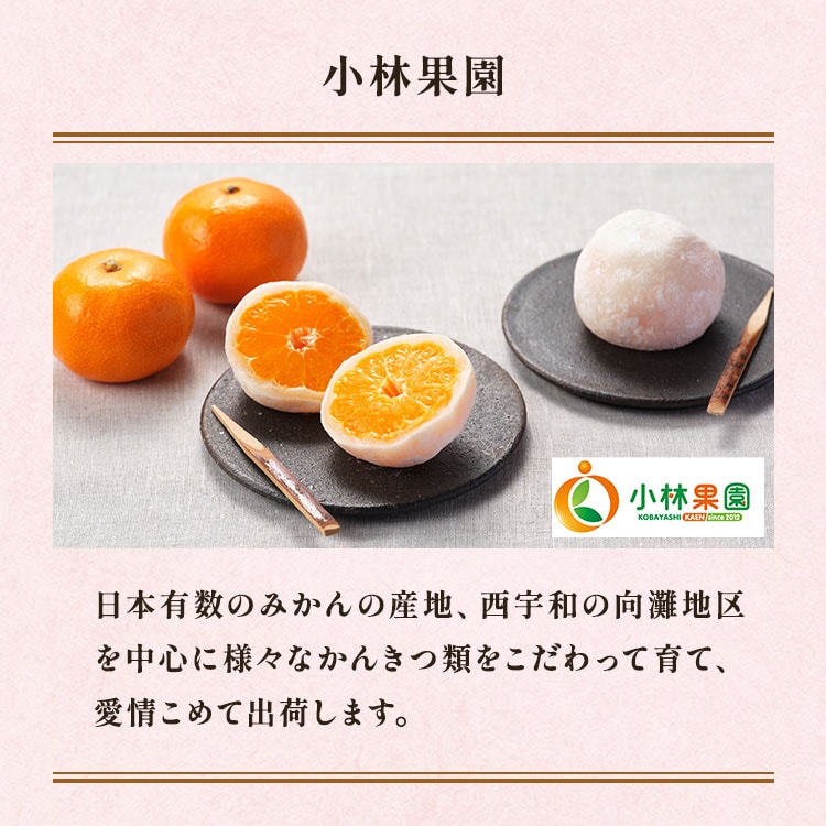 �X���C�_�[�摜5