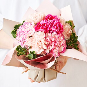 �X�^���f�B���O�u�[�P �i�`�������s���N