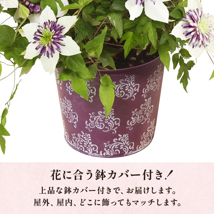 スライダー画像4