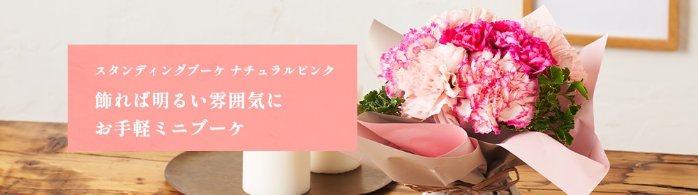 �X�^���f�B���O�u�[�P �i�`�������s���N