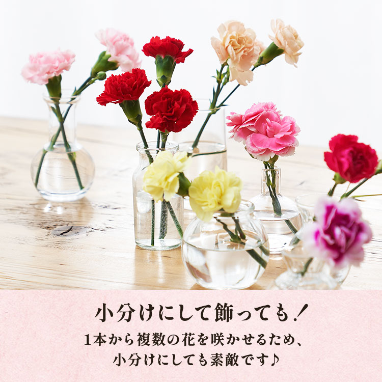 �X���C�_�[�摜6