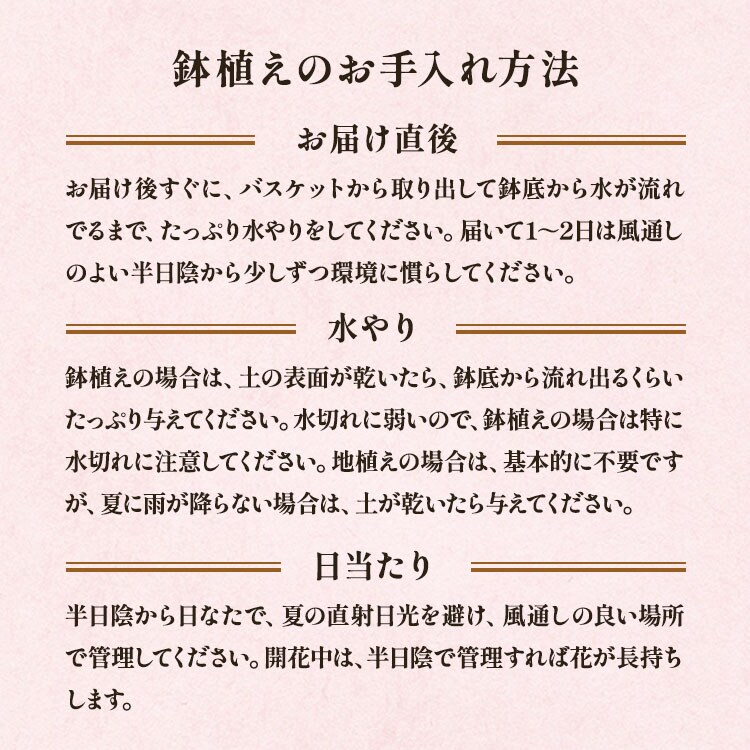 �X���C�_�[�摜6