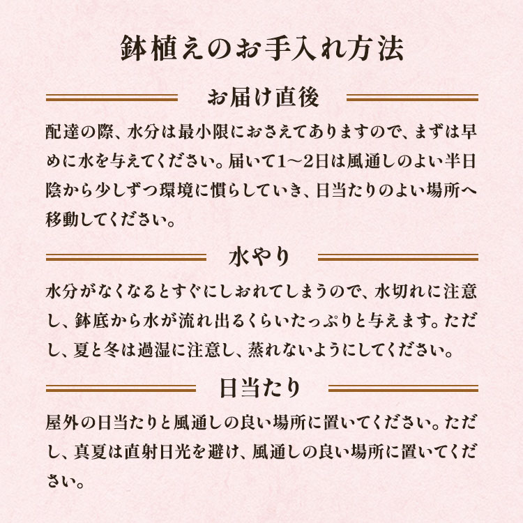 �X���C�_�[�摜7