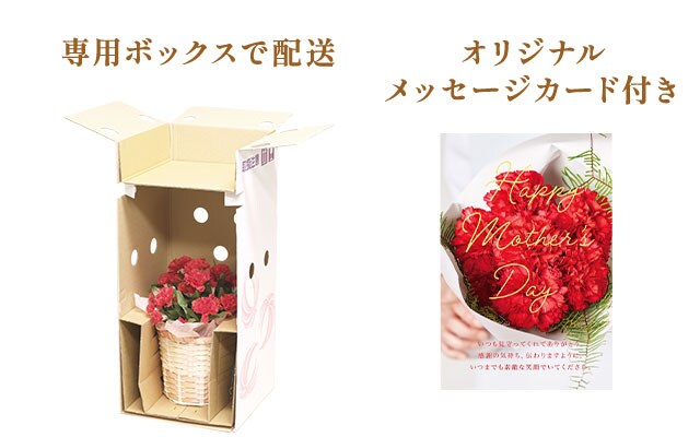 �o�X�P�b�g�A�����W �u���C�g�s���N ���͂��C���[�W