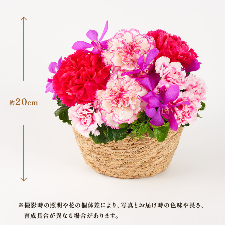 �X���C�_�[�摜2