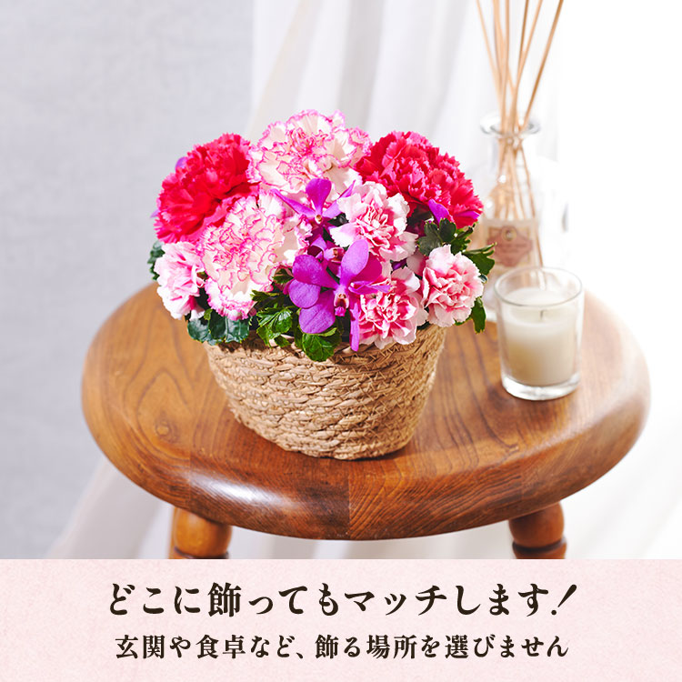 �X���C�_�[�摜4