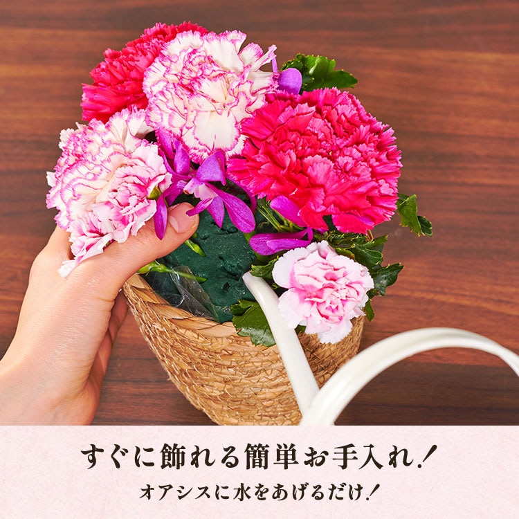 �X���C�_�[�摜6
