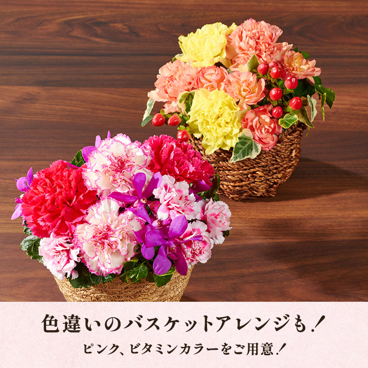�X���C�_�[�摜7