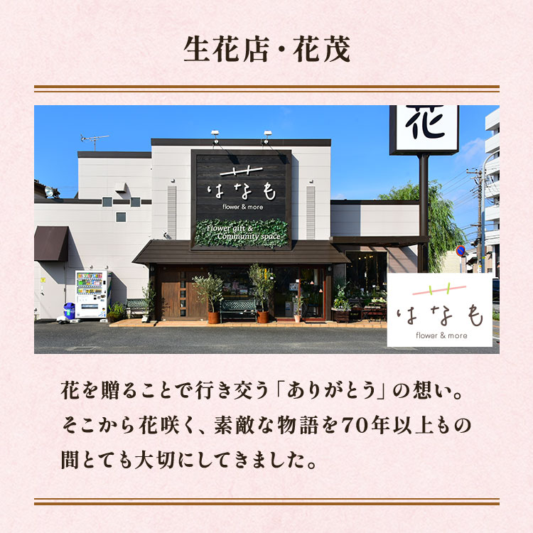 �X���C�_�[�摜9