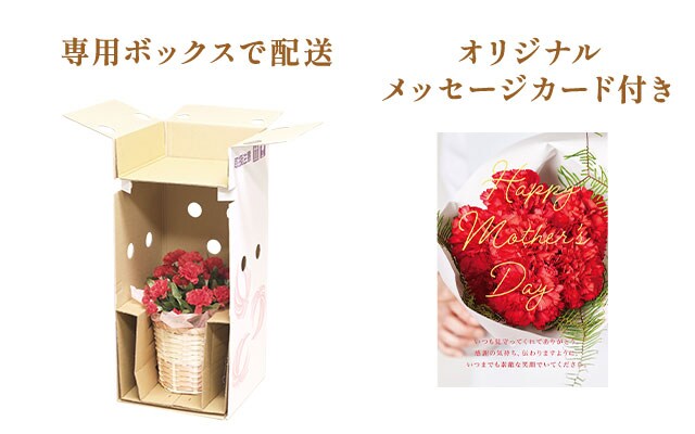 �o�X�P�b�g�A�����W �r�^�~���J���[ ���͂��C���[�W