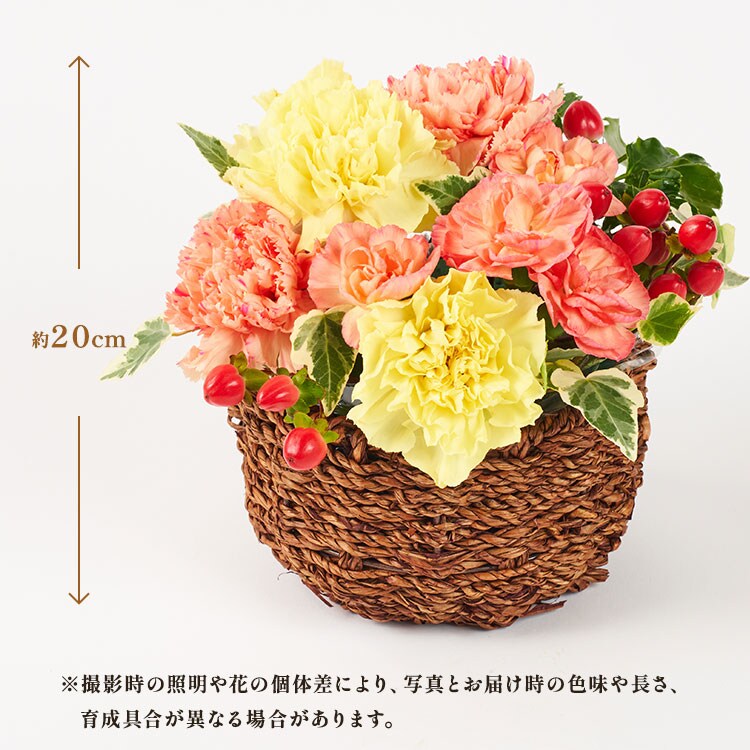 �X���C�_�[�摜2