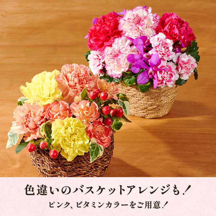 �X���C�_�[�摜7