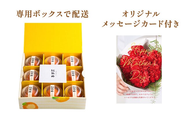 長野県産市田柿 紅熟柿(べにづくし) ｜ 2025年 Oisix母の日ギフト特集