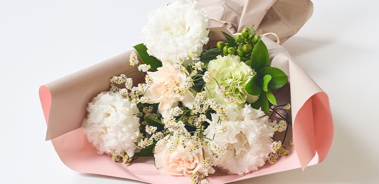  �����u�[�P�v���~�A�� �g���R�j�[&�J�[�l�[�V���� �R���e���c1