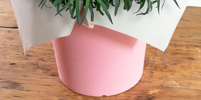 �I�����W�J�[�l�[�V���� �R���e���c3