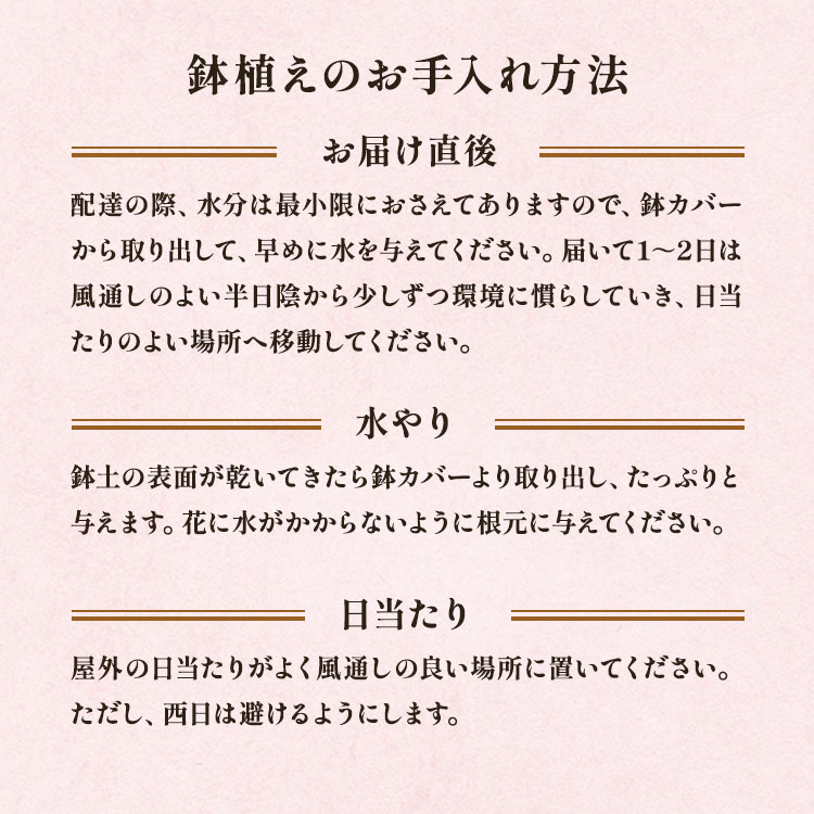 �X���C�_�[�摜6