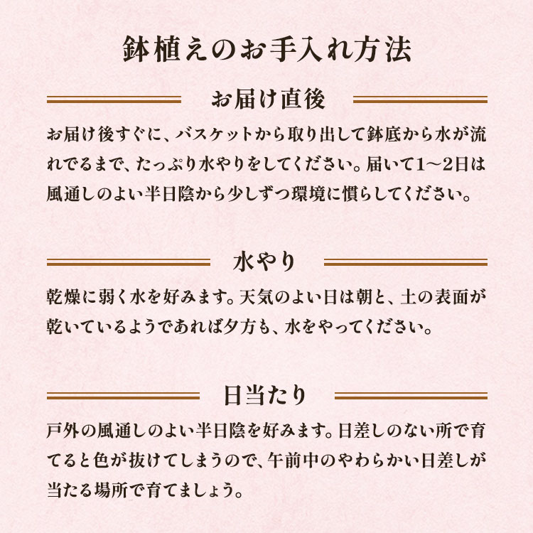 �X���C�_�[�摜6