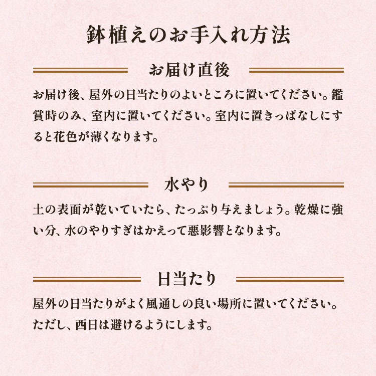 �X���C�_�[�摜6