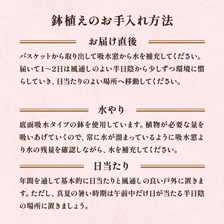 �X���C�_�[�摜6