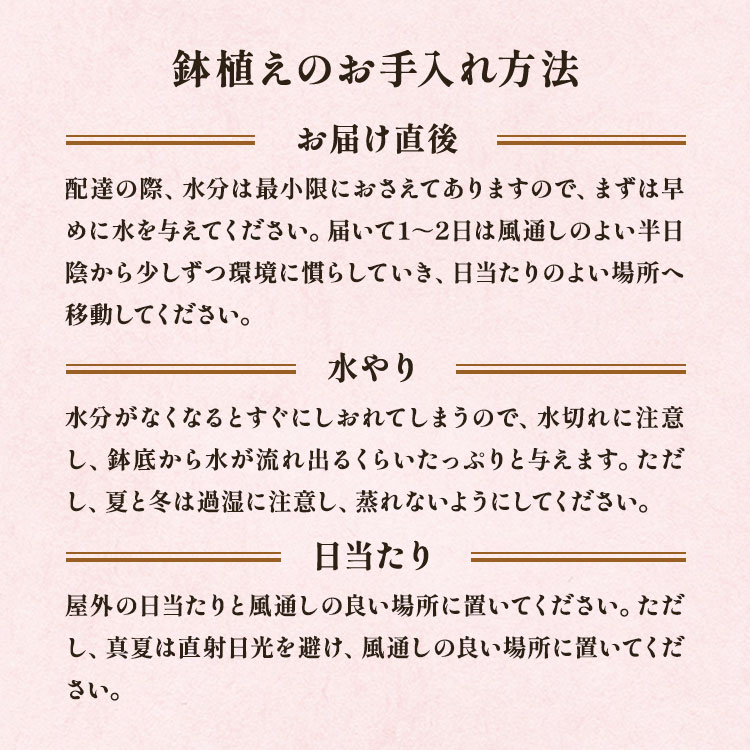 �X���C�_�[�摜6