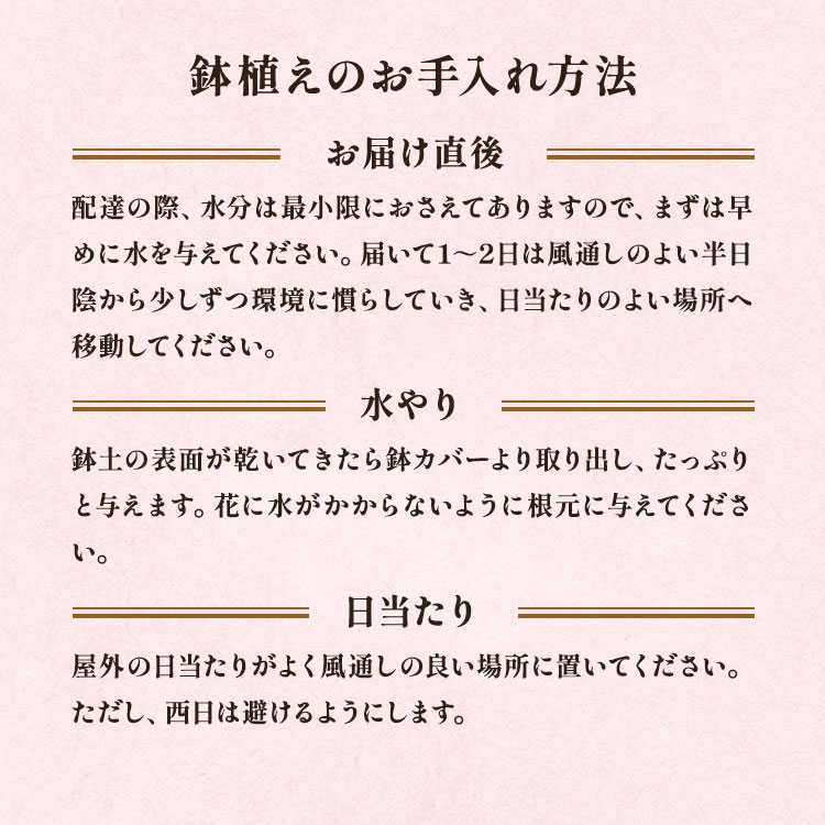�X���C�_�[�摜6