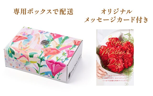 Soup Stock Tokyo �X�[�v�ƃJ���[�Ƃ��͂�̃Z�b�g ���͂��C���[�W
