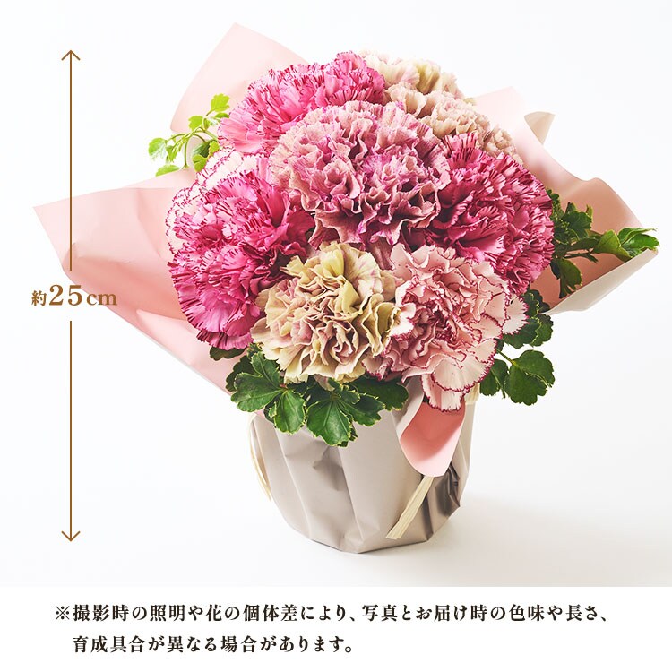 �X���C�_�[�摜2