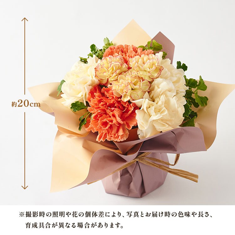 �X���C�_�[�摜2