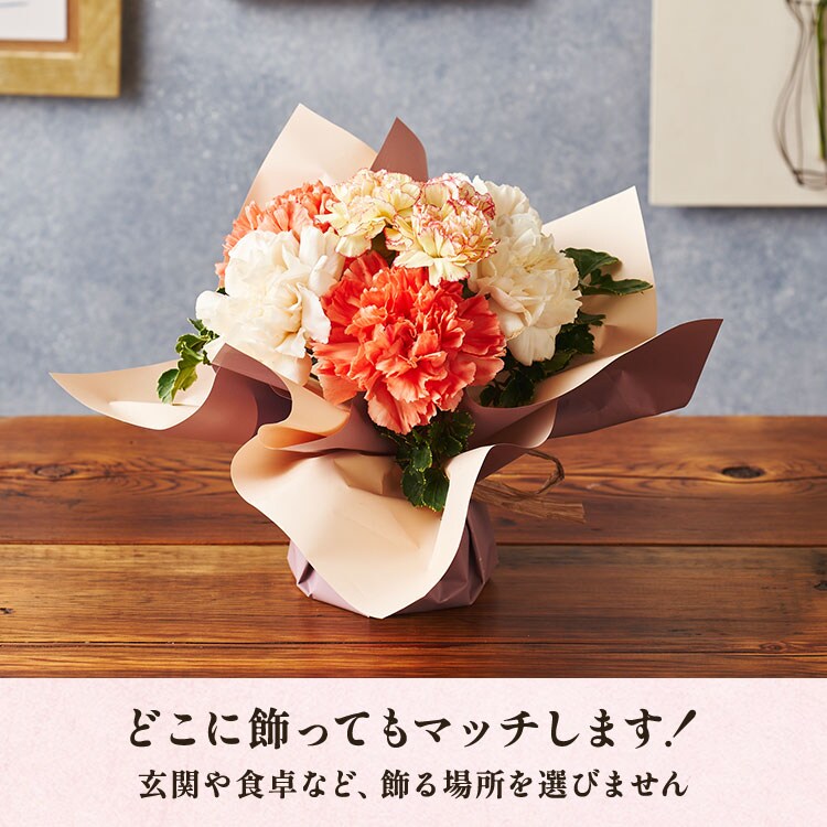 �X���C�_�[�摜4