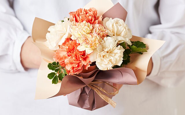 �X�^���f�B���O�u�[�P �V�g���X�I�����W