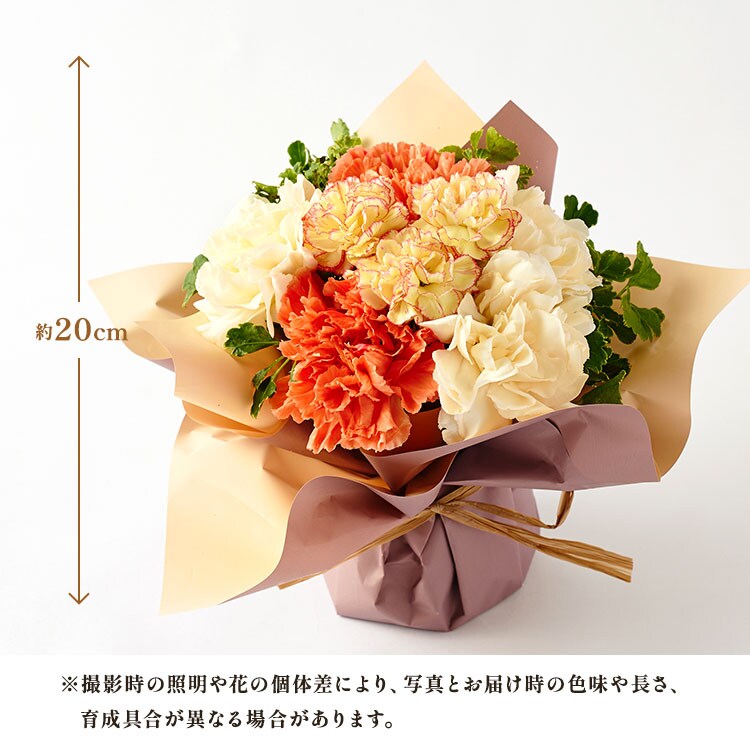 �X���C�_�[�摜8
