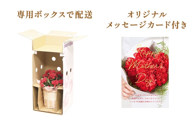 �X�^���f�B���O�u�[�P �i�`�������s���N ���͂��C���[�W
