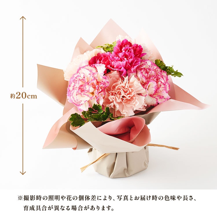 �X���C�_�[�摜8