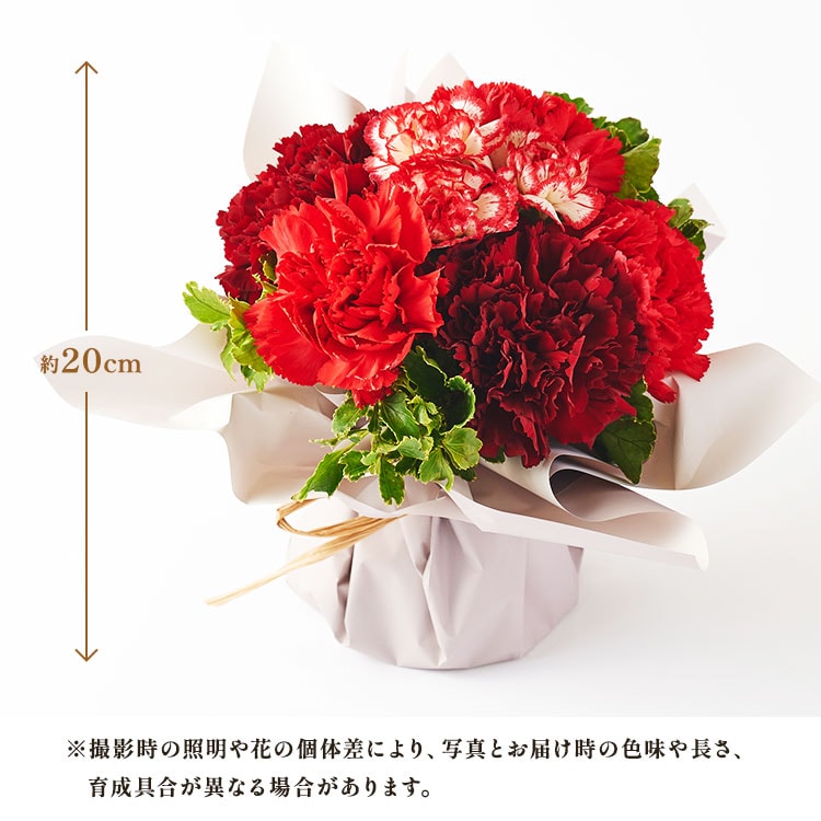 �X���C�_�[�摜2