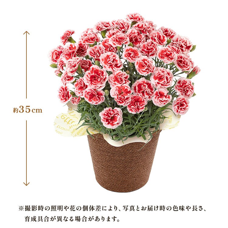 �X���C�_�[�摜2